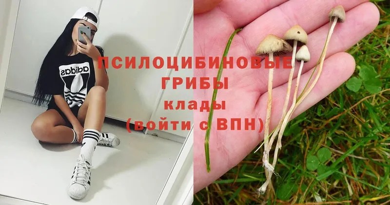 МЕГА зеркало  Билибино  Галлюциногенные грибы Magic Shrooms 